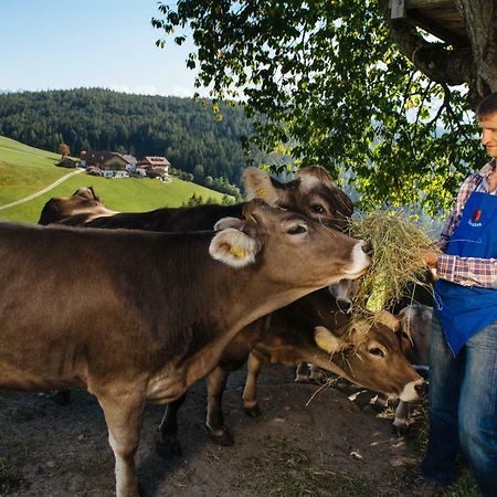 Mair Am Graben Farm * Chalets Terento Eksteriør billede