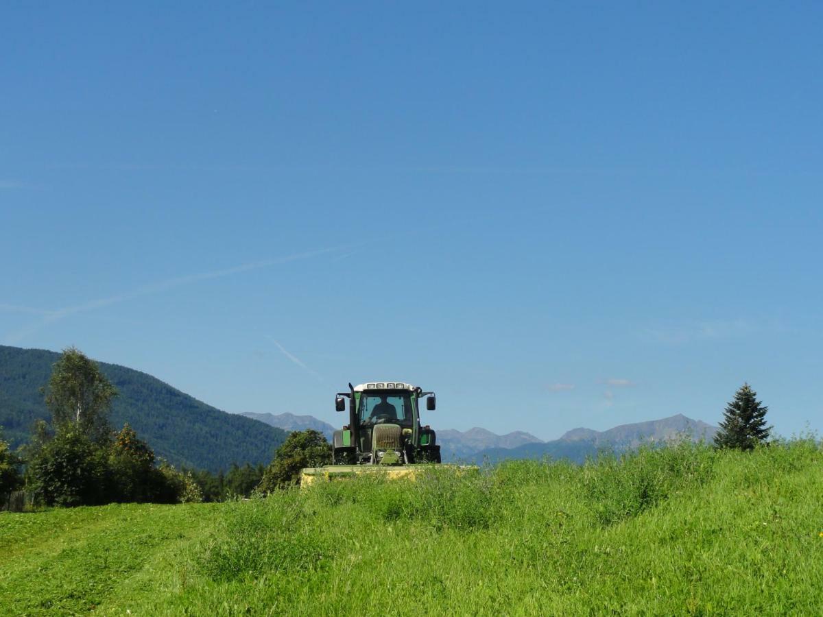 Mair Am Graben Farm * Chalets Terento Eksteriør billede