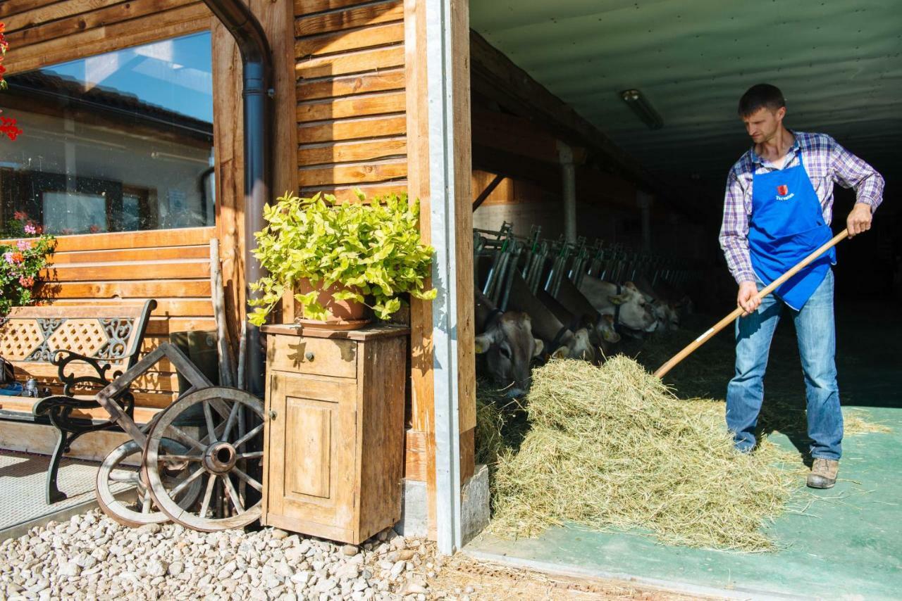 Mair Am Graben Farm * Chalets Terento Eksteriør billede
